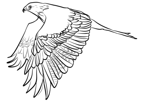 Red Kite Coloring Page